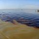 Illustration for article titled Hidden Cause Of Oil Spill: Porn